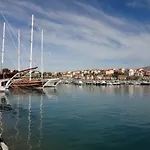 Dalmato